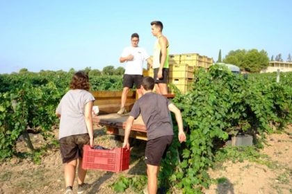 ARCHIVO JOVENES-AGRICULTORES-ASAJA-CIUDAD-REAL-