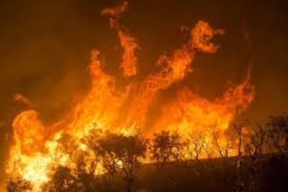 incendio asaja nacional1
