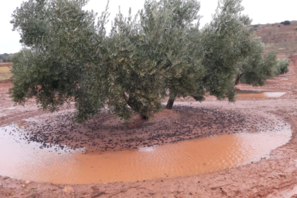 borrasca 02