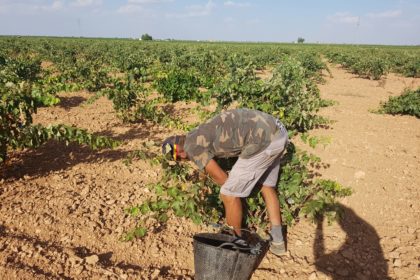 JOVEN AGRICULTOR