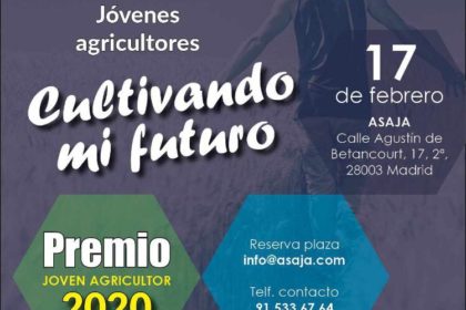 cartel