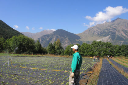 Agricultura_ecologica-ministerio