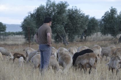 GANDERO DE ESPALDAS