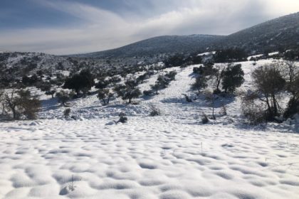 10 enero Quiles (Comarca Montes Norte) 1