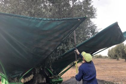 20190129 reportaje fotos 15