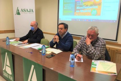 JUNTA DIRECTIVA
