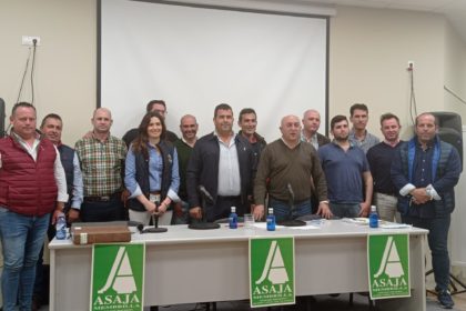 nueva junta membrilla 3