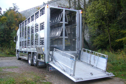 animales-camion