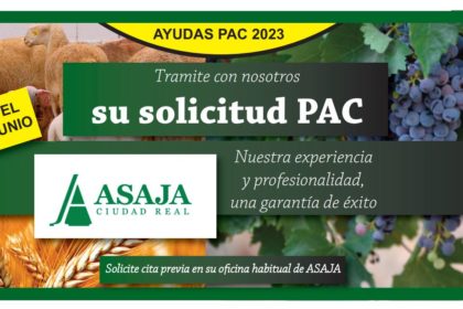PAC ACTUALIZADO