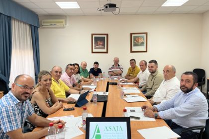 sectorial viñedo 20072023