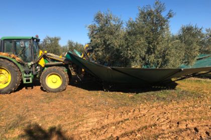 20190104 VICTOR DURAN ACEITUNA MALAGON 3