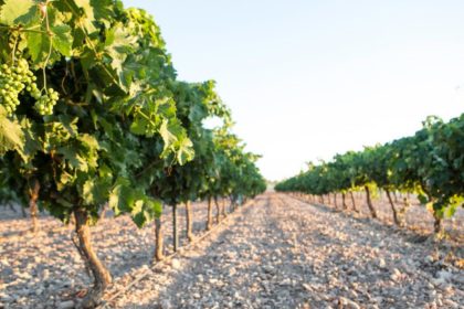 reestructu consejeria agri