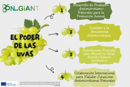 REDES SOCIALES