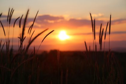 sunset-3416768_1280