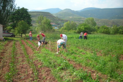 jovenes