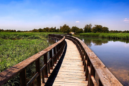 tablas-de-daimiel—primavera