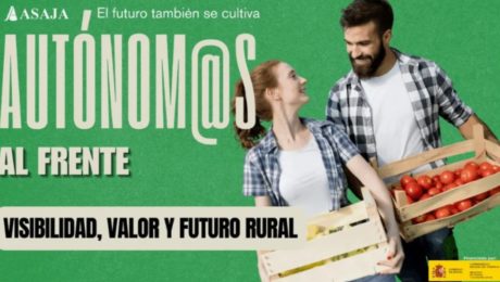 Captura de pantalla 2025-12-04 110250