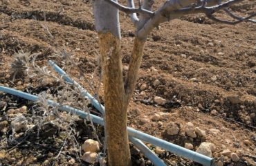 WhatsApp Image 2026-01-23 at 13.08.24