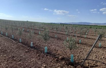 WhatsApp Image 2021-08-06 at 10.23.33