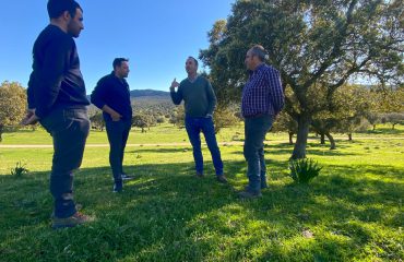 CULTIVA CHILLON FOTO (30)