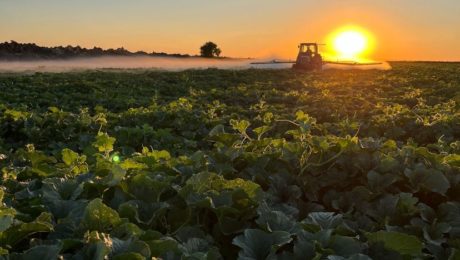 WhatsApp Image 2024-07-12 at 13.45.04