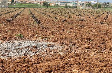 WhatsApp Image 2026-03-18 at 17.26.12 (1)