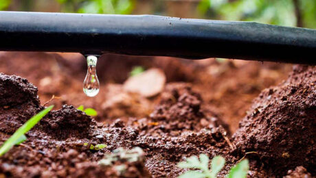 Snapshot of some of the ongoing projects in Kenya as captured by