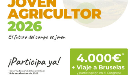 creatividad redes sociales