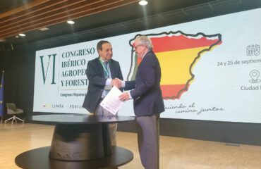 declaracion ciudad real