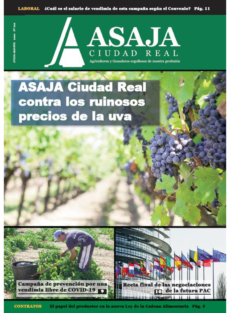 Revista julio-agosto