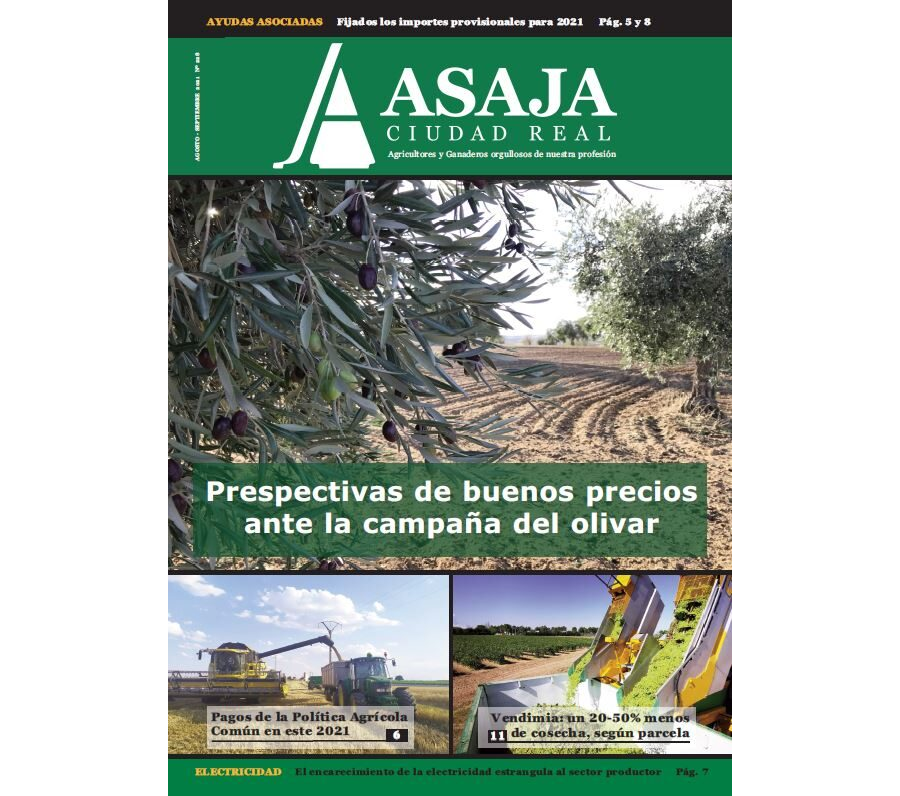 Revista agosto-septiembre