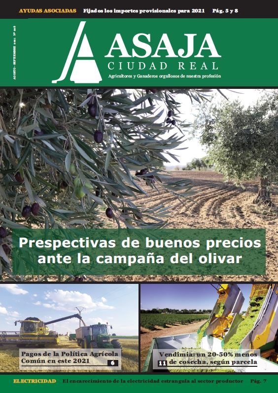 Revista agosto-septiembre