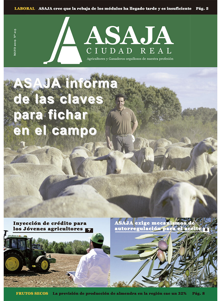 Revista mayo
