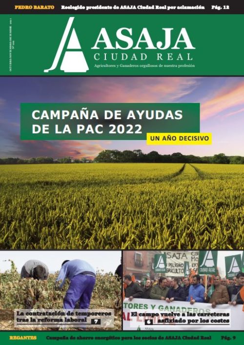 Revista octubre-noviembre-diciembre 2022