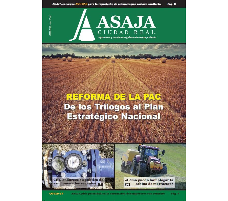Revista junio-julio