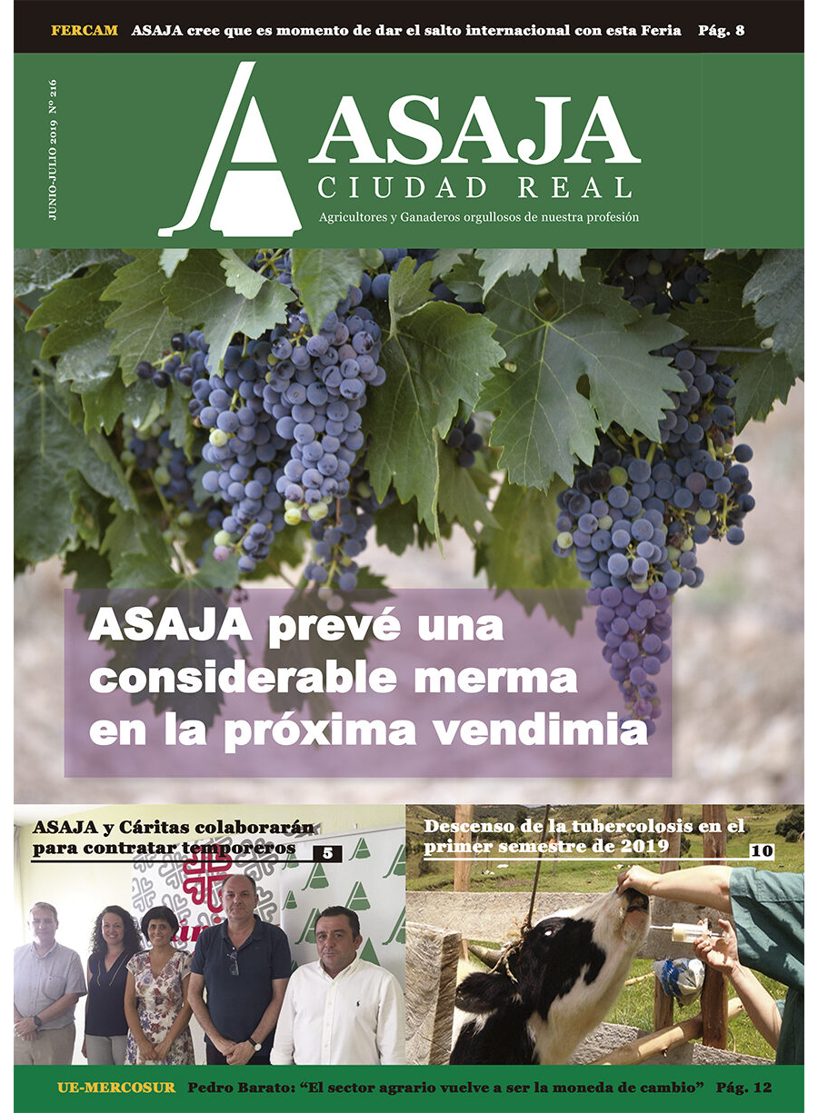Revista junio-julio