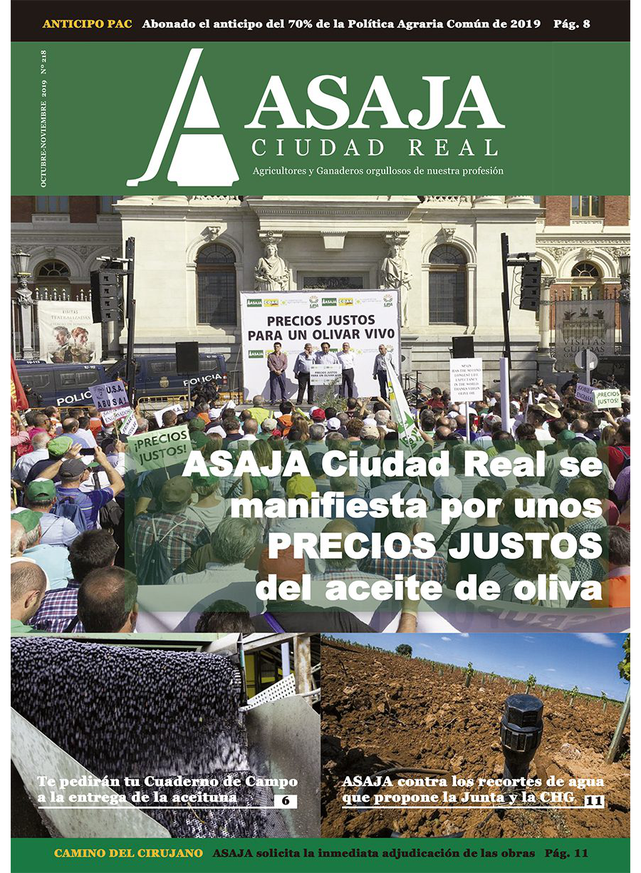 Revista octubre-noviembre