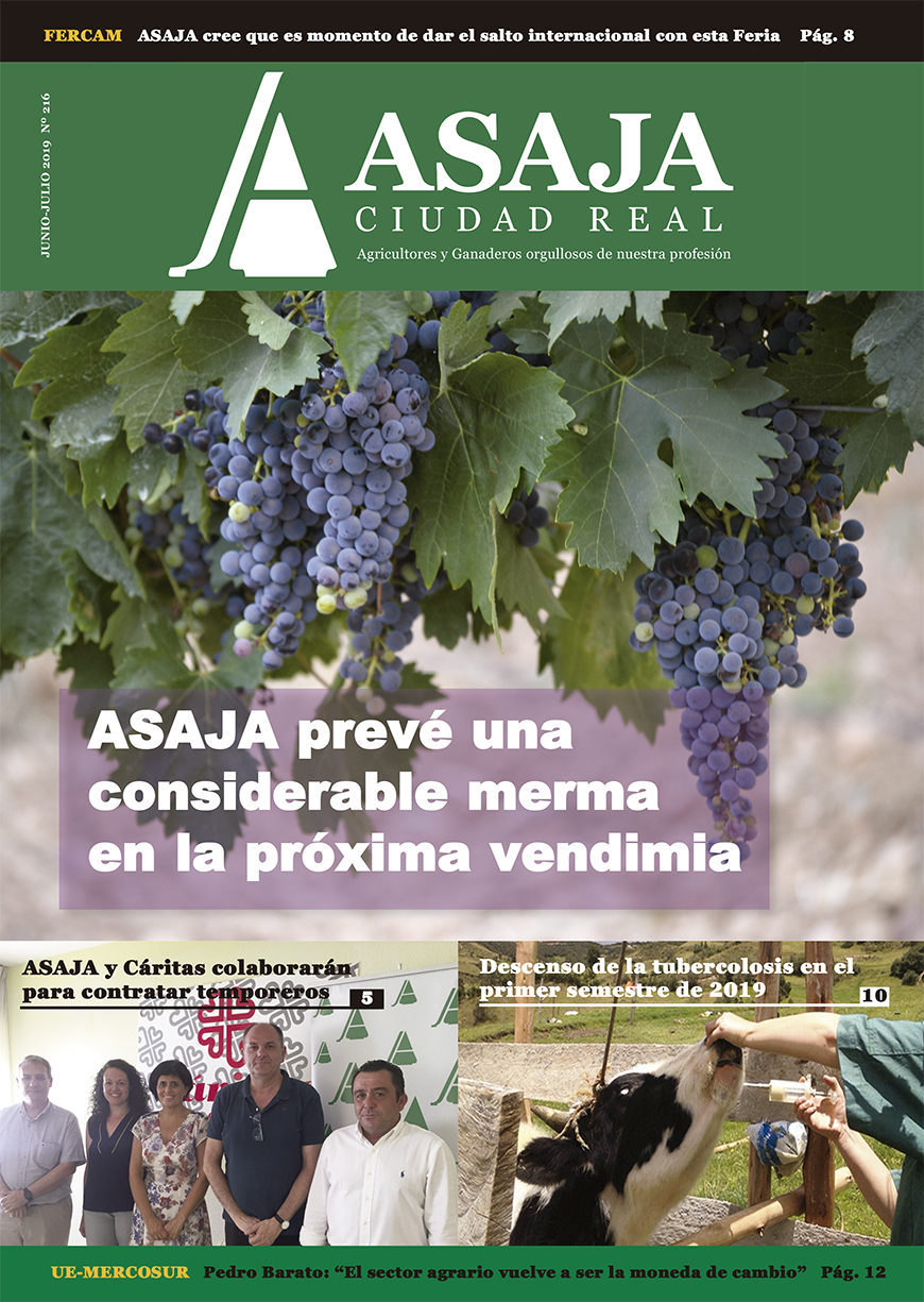 Revista junio-julio