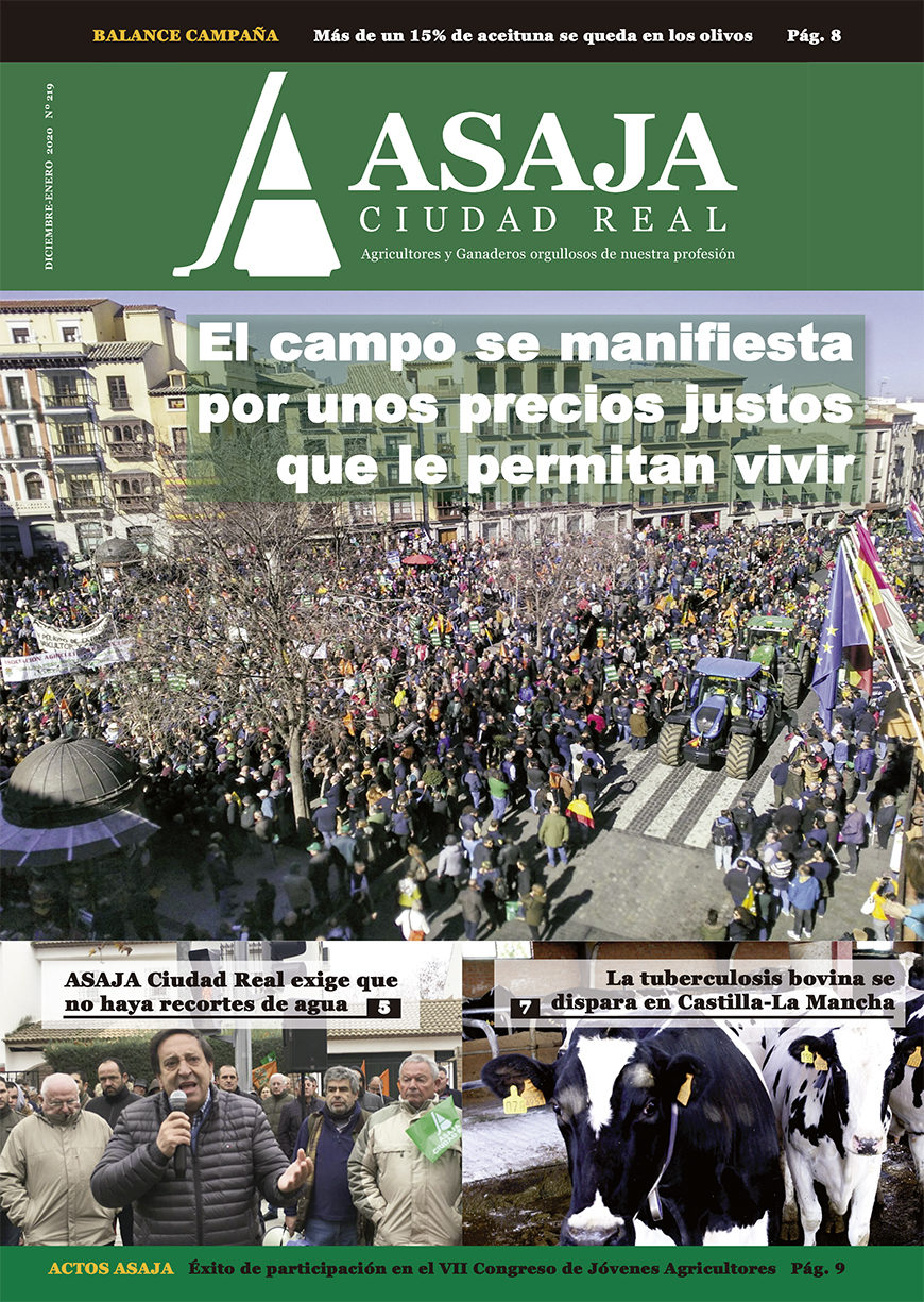 Revista diciembre-enero